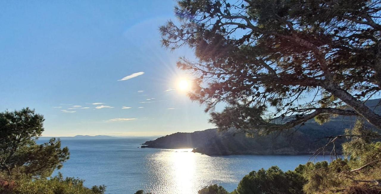 Beautiful Loft, Huge Sunny Terrace, View Over The Beach And Sea Roses Eksteriør bilde